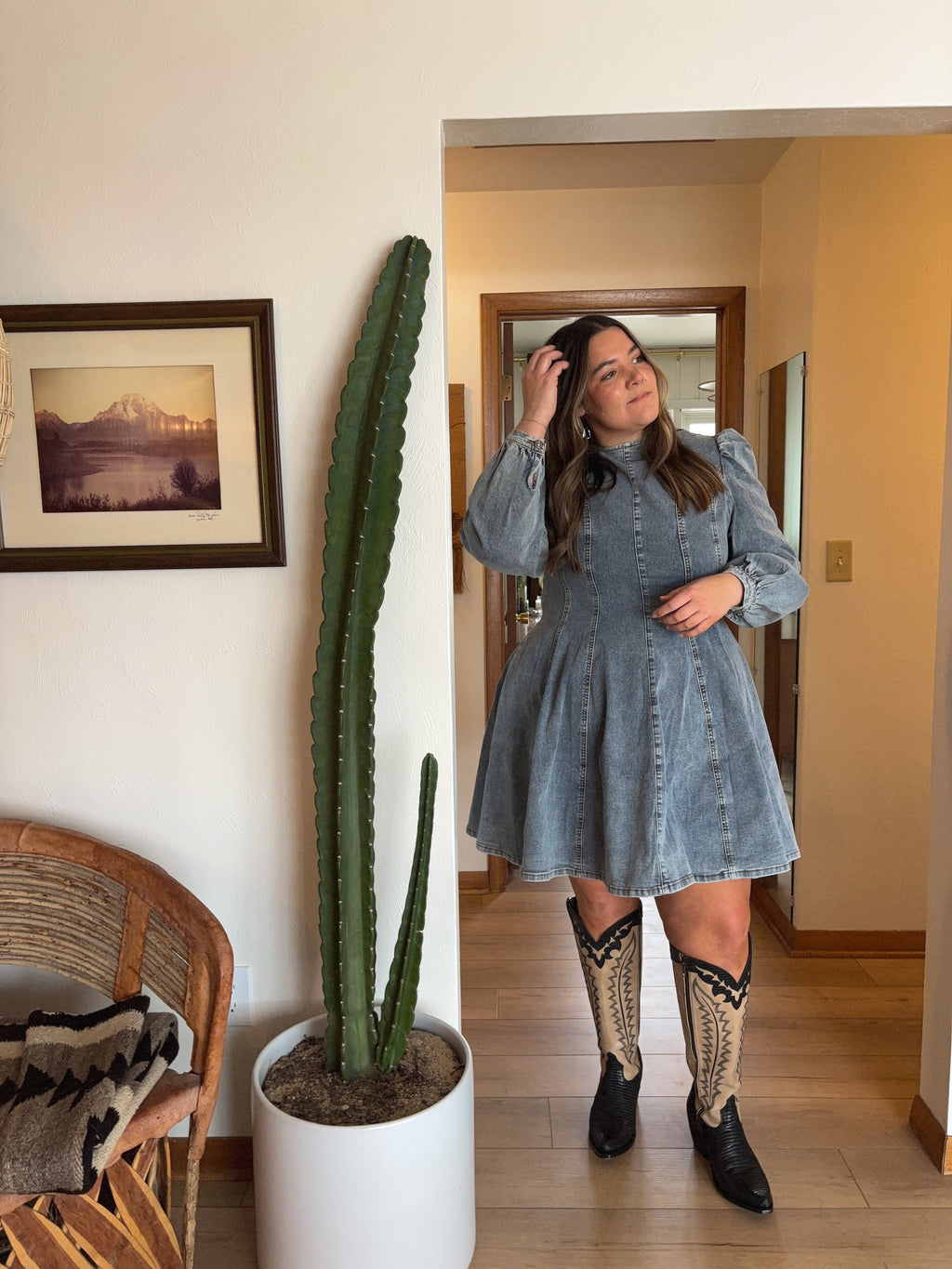 Long Sleeve Denim Dress