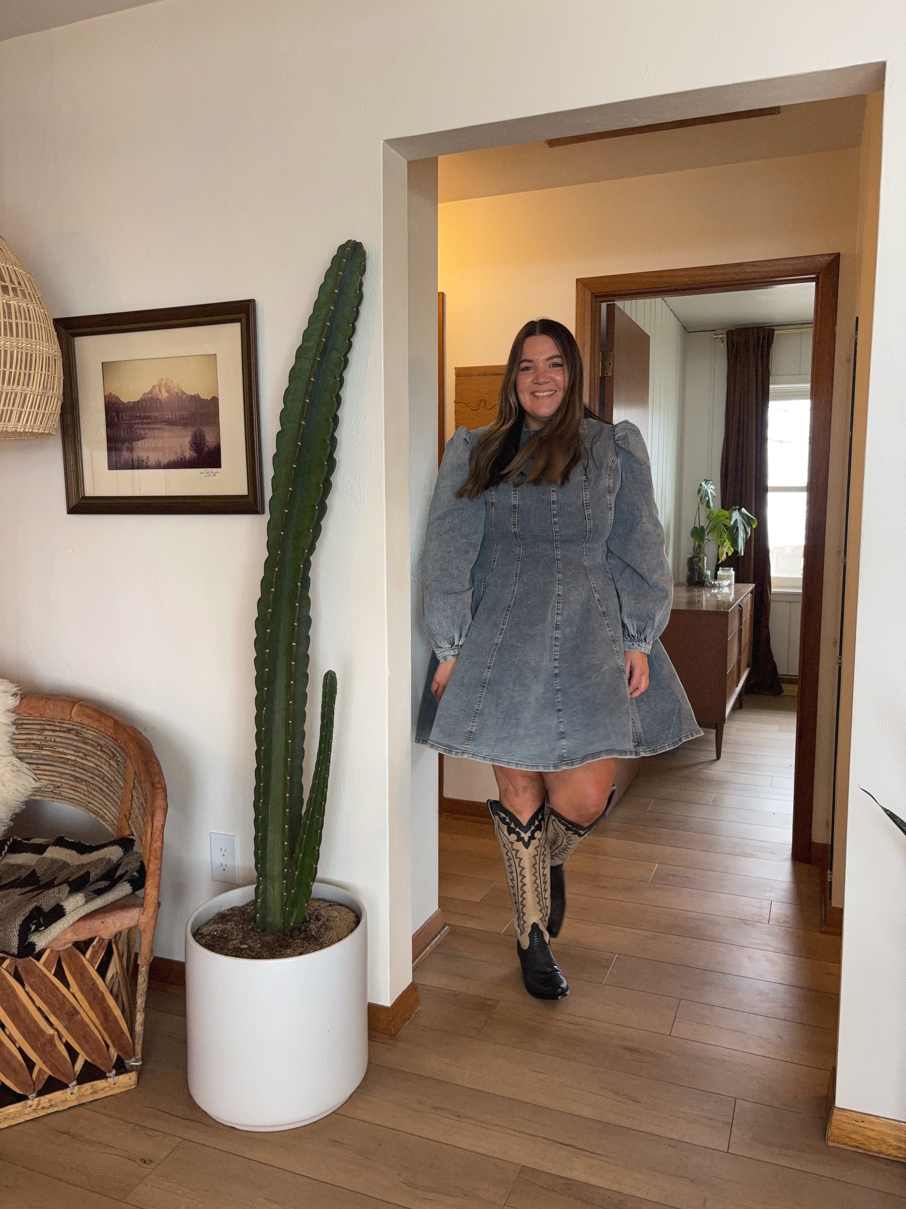 Long Sleeve Denim Dress