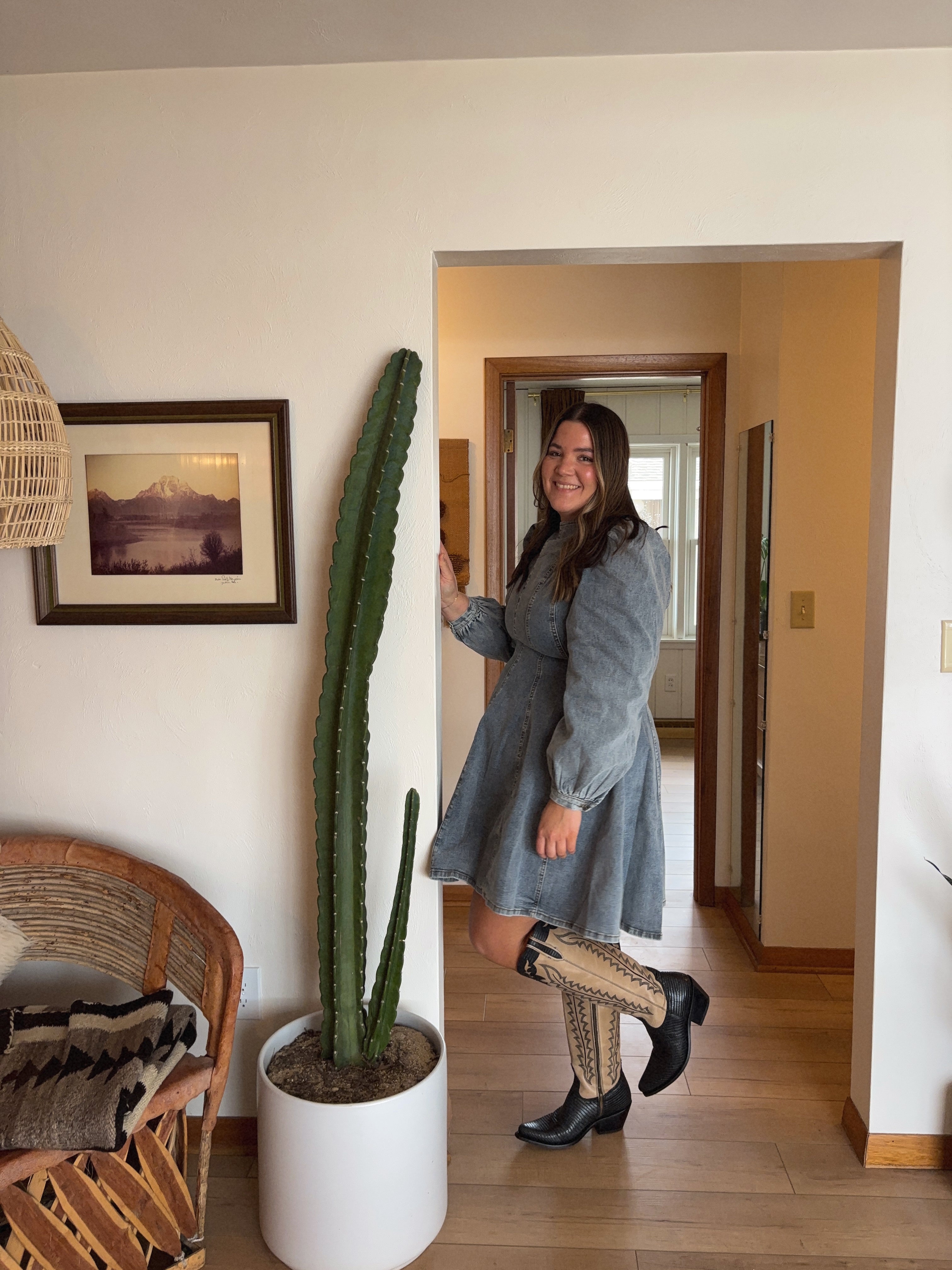 Long Sleeve Denim Dress