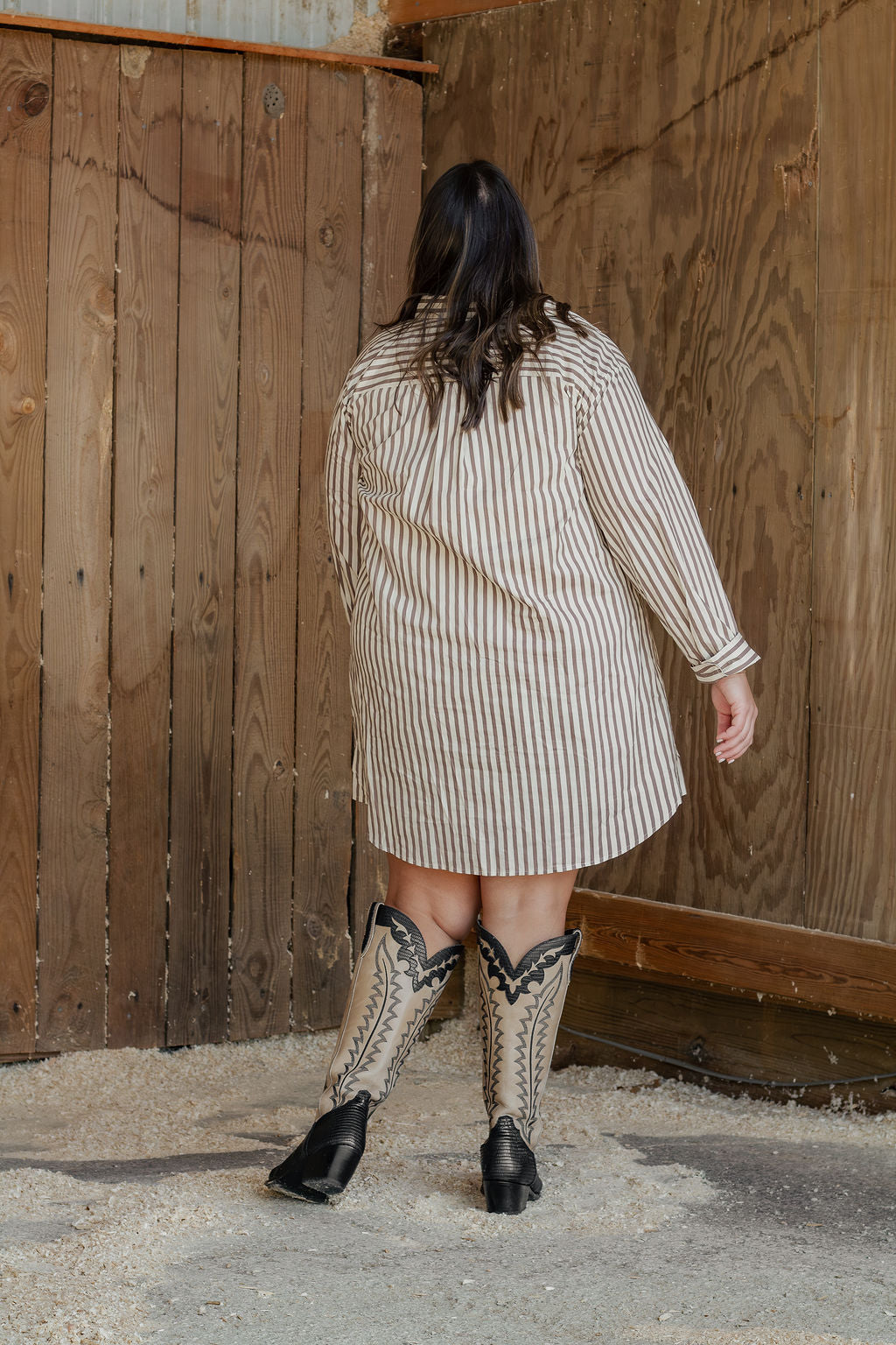 Stripe Shirt Dress