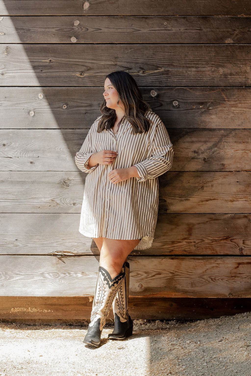Stripe Shirt Dress