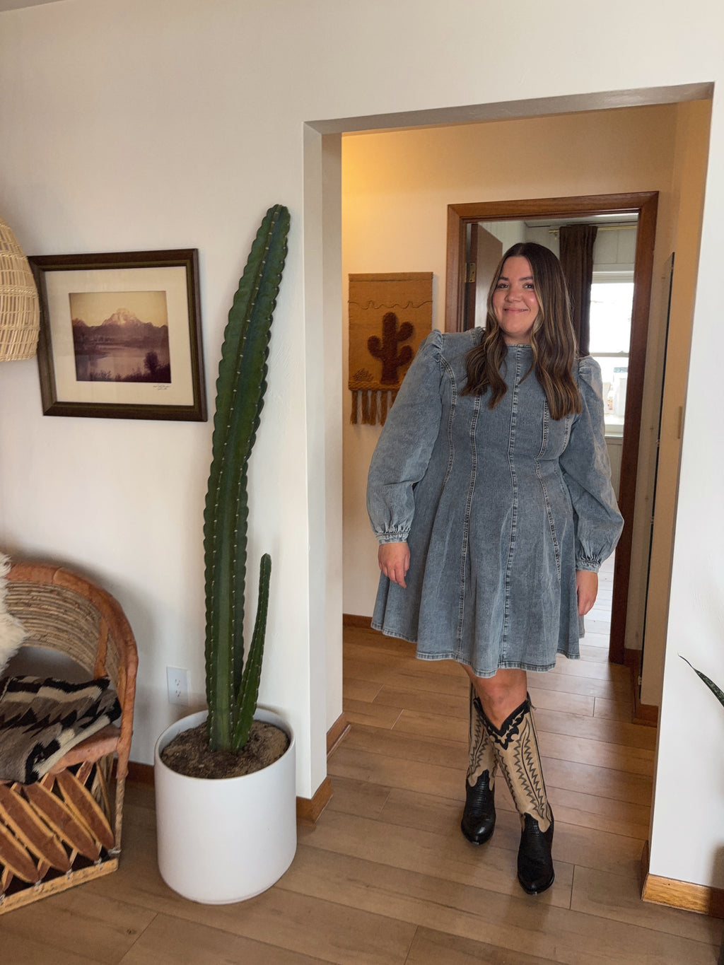 Long Sleeve Denim Dress